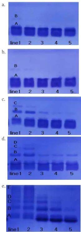 Fig. 2. The effect of lenses on the denaturation of RNase A induced by UV-A.