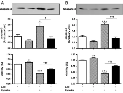 Figure  1.  Effects  of  LAB  on  cytokines-induced  caspase-3  activity  and  viability  of  INS-1  cells