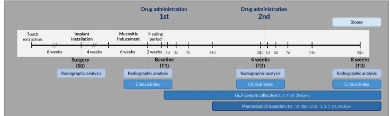 Figure 1. Study outline.