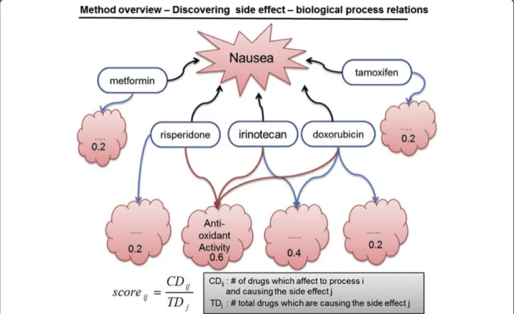 Figure 4 Schematic diagram for discovering side effect-biological process relationships