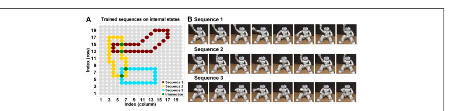 FIGURE 2 | Training action sequences and regeneration. (A) Three target sequences represented on internal action space