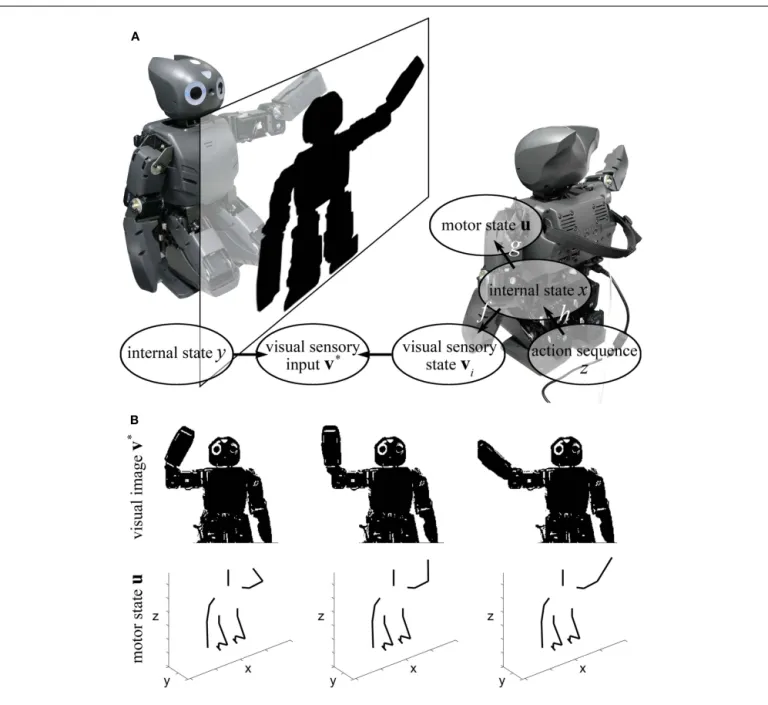 FIGURE 7 | Structure of imitation learning. (A) The target system