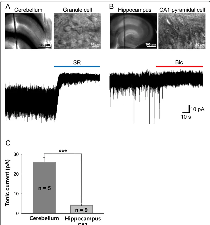 Figure 2 Tonic inhibition currents recorded from cerebellar granule cells and hippocampal CA1 pyramidal cells