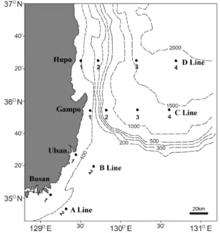 Fig.  1.  Map  of  the  study  area  showing  locations  of  sampling  station  in  the  southwestern  part  of  East  Sea  of  Korea.
