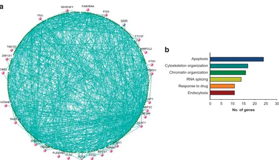 Figure 2 Coexpression network analysis in the frontal cortex. The coexpression module that is significantly associated with schizophrenia in frontal cortex of the Array Collection (AC) (a) and biological processes (Gene ontology) overrepresented in the gen