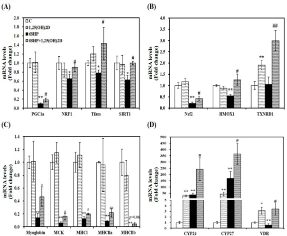 Figure 3. Effects of 1,25-dihydroxyvitamin D (1,25(OH)2D) on gene expression involved in
