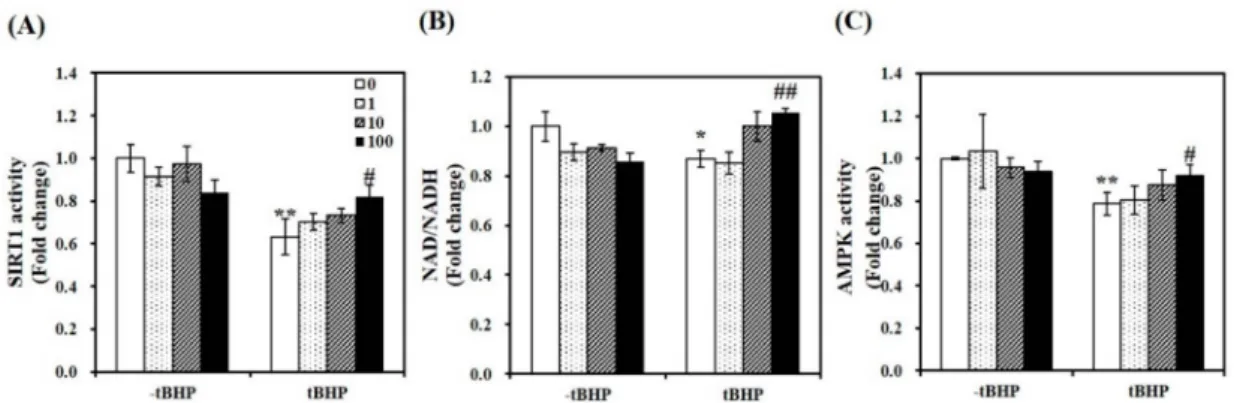 Figure 4. Effects of 1,25-dihydroxyvitamin D (1,25(OH)2D) on AMP-activated protein kinase (AMPK)
