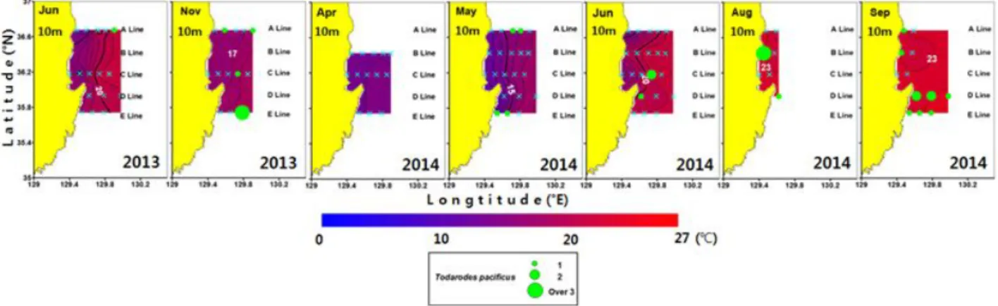 Fig.  5.  Horizontal  distribution  of  water  temperature  at  10 m  and  common  squid  larvae