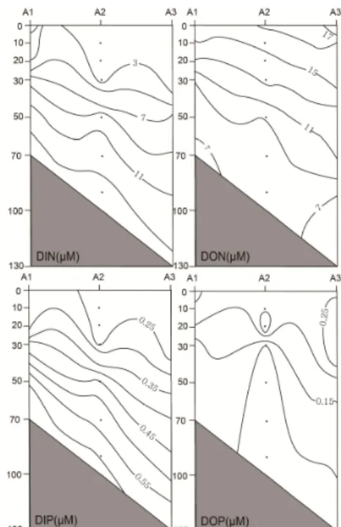 Fig.  3.  Vertical  profiles  of  DIN,  DON,  DIP  and  DOP  along  the  A  line.