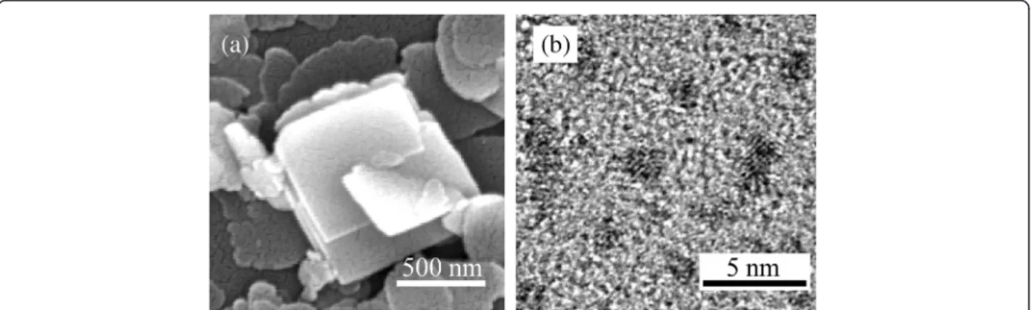 Figure 3 Comparison of WO 3 particles. (a) FESEM image of WO 3 particles from conventional synthesis method