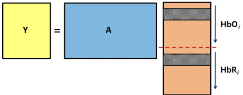 Fig. 1. Block-sparse MMV model when HbO and HbR are assumed to be correlated with each other