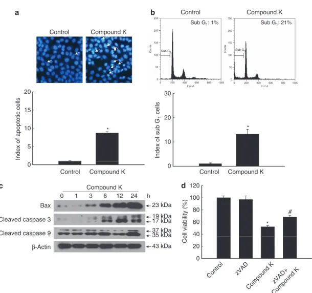 Figure 5 Compound K induces apoptosis in HCT-116 cells. HCT-116 cells were treated with compound K (20 mg/ml) for 24 h