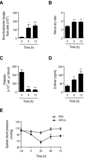 Figure 4. Induction of lung dysfunction, disseminated intra- intra-vascular coagulation and hypotension in mice by intestinal E