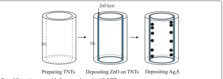 Figure 2a shows the SEM image of the plain TNT film fabricated by anodization of Ti foil before coating with ZnO and Ag 2 S, which reveals a regularly arranged pore