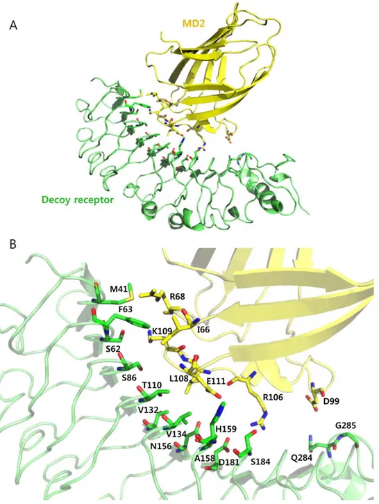 Figure 1. Identification of the mutation sites on the decoy receptor, TV3, for constructing single variants
