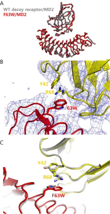 Figure 2. Crystal structure of the F63W mutant in complex with MD2. (A) Superimposed backbone structure of F63W mutant/MD2 complex into the wild-type decoy receptor/MD2 complex structure