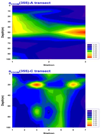 Fig.  15.  Vertical  distributions  of  a CDOM (355)  in  the  A  and  C  transect  of  the  study  area(July,  2011).