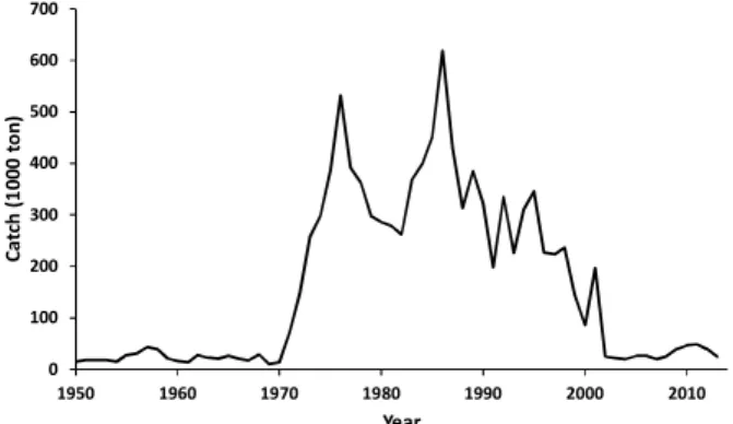 Fig.  1.  Annual  catches  of  walleye  pollock  in  Korea  (FAO,  1950-2013). 우리나라 명태의 어획량 변동은  1960년대 이전은 약 2만 톤 내외였지만,  1970년대에서 1986년까지 약 30만-60만 톤이  어획되어 전성기를 보였다 