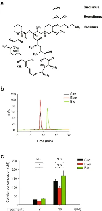 Figure 1.  Cellular uptake of rapamycin analogues in VSMCs. (a) Chemical structures of three rapalogues-  sirolimus (Siro), everolimus (Ever), and biolimus (Bio)