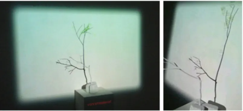 그림 11. 이준,‘트위터 속 감정데이터로 성장하는  한 그루의 나무’, 2012 <그림  11>사례는  ‘트위터  속  감정데이터로  성장하는  한  그루 의  나무’ 19) 라는  주제로  온라인에  떠도는  문자,  이모티콘  등이  함유하고 있는 감정의 데이터에 의해 성장하는 나무의 모습을 보 여준다