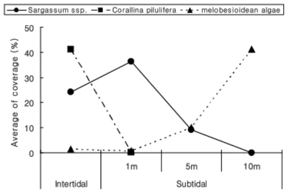Fig.  2.  Vertical  distributional  patterns  of  major  species  in  intertidal  and  subtidal  zone  in  Chuksan.