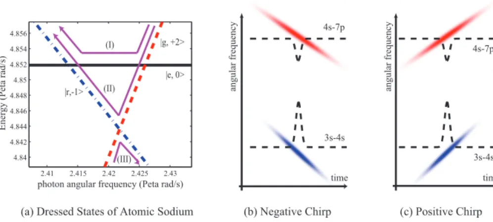 Fig. 2. (a) Dressed-state picture for a 2 + 1 photon absorption process in a sodium three- three-state model system