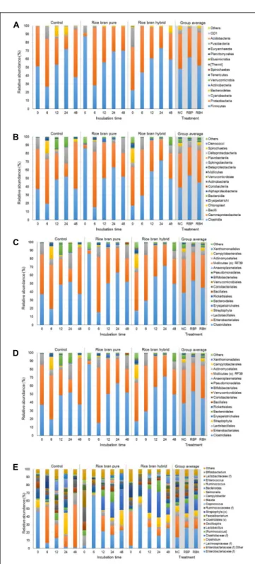 FIGURE 6 | Rarefaction curves of Chao 1 in each group determined by (A) weeks of used ceca and (B) treatment (control or LaKast rice treated) from alpha diversity analysis.