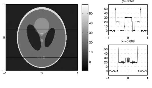 Fig. 5 Reconstructed image from Fourier data sampled on a radial (polar coordinate) grid