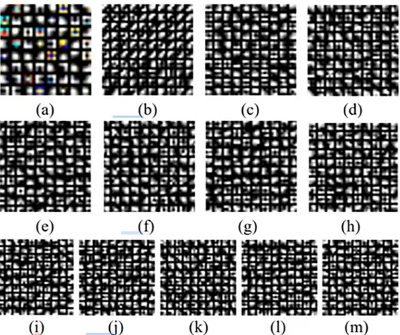 Fig 4. Visualization of the learned filters: (a) 64 learned filters at the first layer, (b-m) 100 filters among the learned filters from the 2nd to 13th layers, respectively.