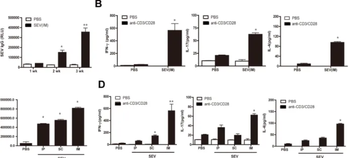 Fig 4. Antibody and T cell responses after SEV vaccination. For (A) and (B), SEVs (5 μg) and sham (PBS) were injected intramuscularly to mice at weekly intervals for 3 weeks (n = 10, each group)