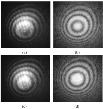 Fig.  5.  Singe-frame  excerpts  obtained  by  video  recording  the  interference  fringe  of  the  target  mirror with the same experimental conditions of Fig