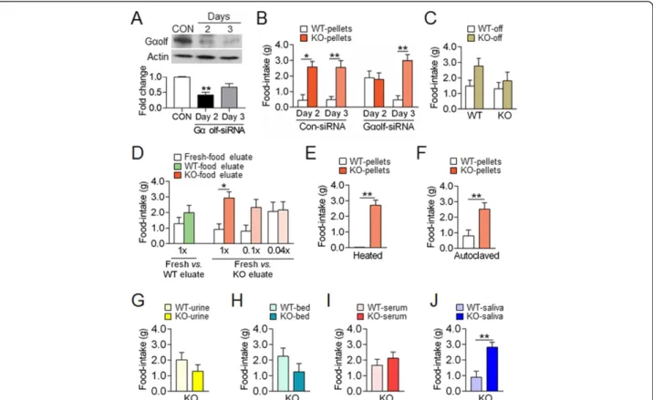 Figure 2 AC5 KO mice produced behavioral preferences for KO pellets based on an olfactory cue-directed option