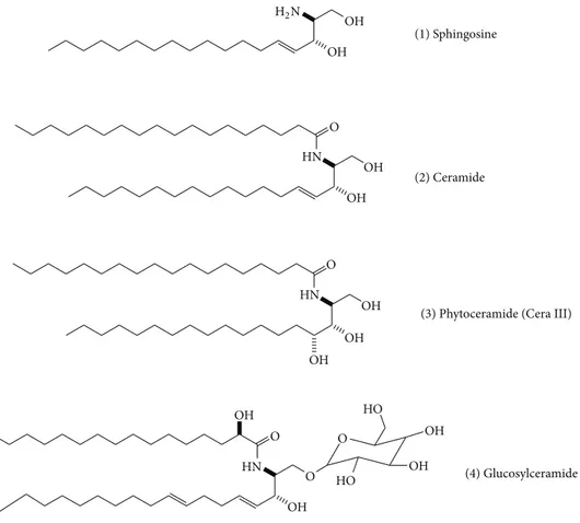 Figure 1: Structures of sphingosine, phytoceramide, and glucosylceramide.