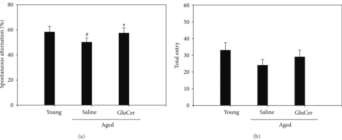 Figure 2: Effects of glucosylceramide on the memory deficit aged mice through Y-maze test
