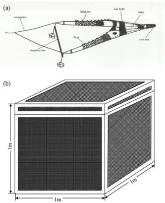 Fig.  2.  Diagram  of  beam  trawl  (a)  and  box  drop  trap  (b)  used  for  fish  collection  in  the  eelgrass  of  Dongdae  Bay.