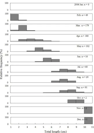 Fig.  3.  Monthly  variation  in  body  length-frequency  distribution  of  P.  cottoides  collected  by  an  small  beam  trawl  in  2006.