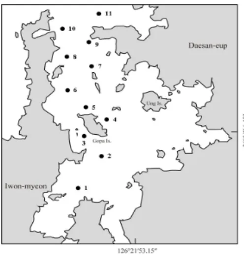 Fig.  1.  Location  of  sampling  stations  in  Garorim  Bay,  West  Coast  of  Korea