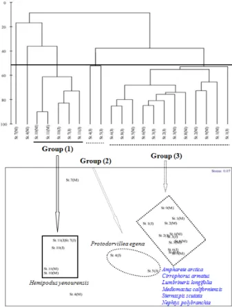 Fig.  5.  Spatial  variations  of  diversity  and  evenness  of  macrobenthos  in  Garorim  Bay,  West  Coast  of  Korea