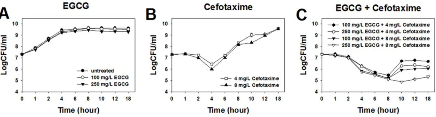 Figure 1. Time-kill curves of ESBL-EC treated with EGCG and cefotaxime at sub-MICs. doi:10.1371/journal.pone.0048880.g001