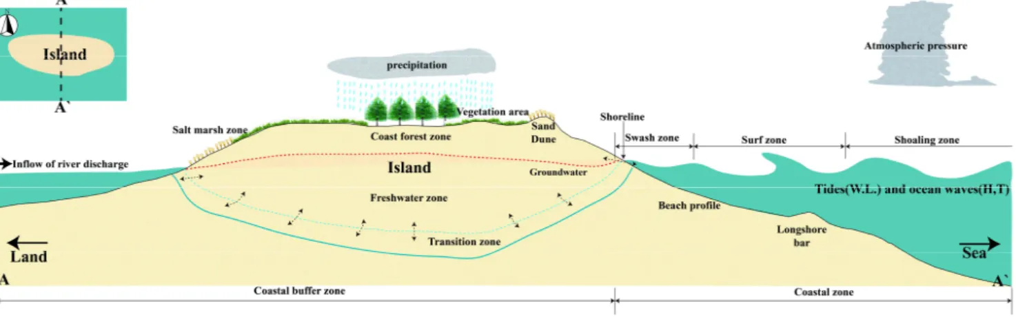 Fig.  1.  Schematic  diagram  of  environment  and  physical  processes  related  to  ground  watertable  at  sandy  barrier  island.
