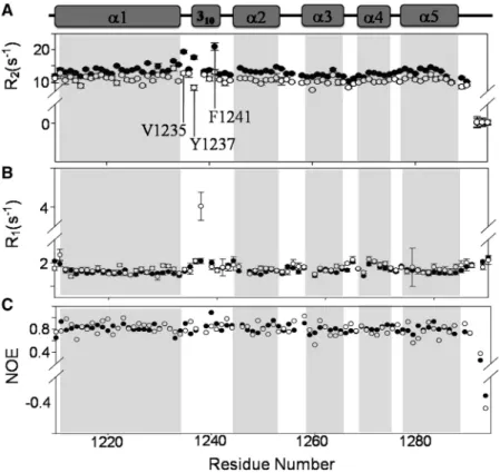Figure 5C showed the differences of ssDNA-binding activity of ﬁve HRDC variants. Among the ﬁve variants