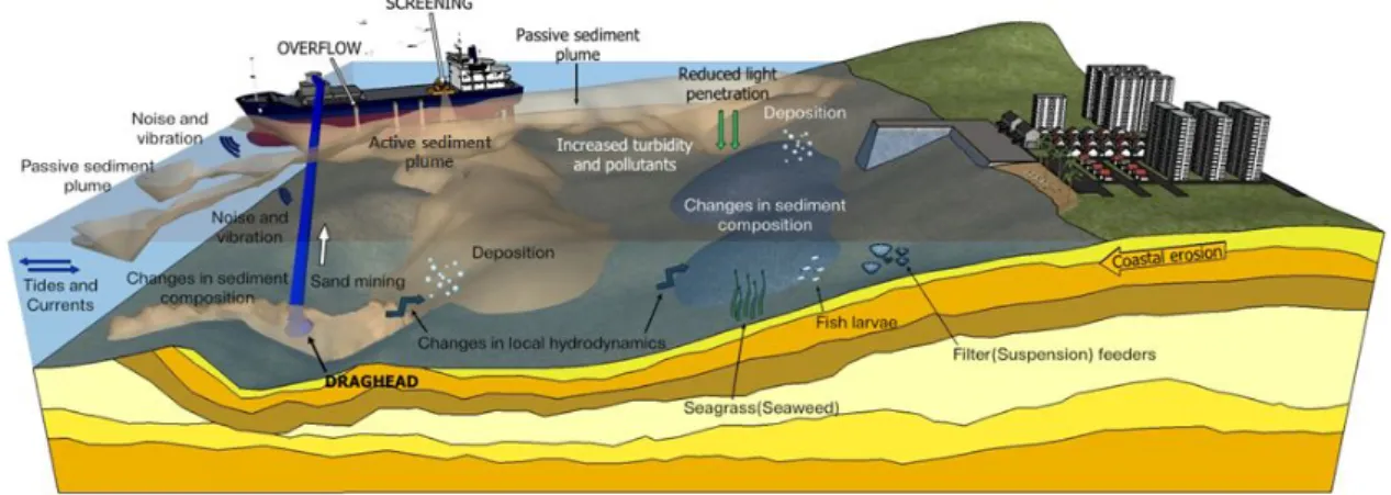 Fig.  2.  Primary  and  secondary  effects  due  to  marine  sand  extraction  operations