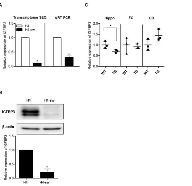 Figure 1. IGFBP3 expression is down-regulated in an APP-mutant cell line and transgenic mice IGFBP3 mRNA expression in normal and APP-Swedish mutant H4 cells (A), and the brain of wild type and PSEN1-APP transgenic mice (B6C3-Tg(APP695)85Dbo Tg(PSEN1)85Dbo