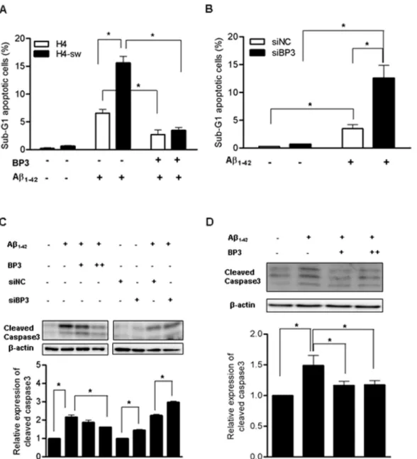 Figure 2. IGFBP3 protects cells from Ab 1–42 induced apoptosis H4 and H4-sw cells were treated for 24 h in serum-free media (SF)