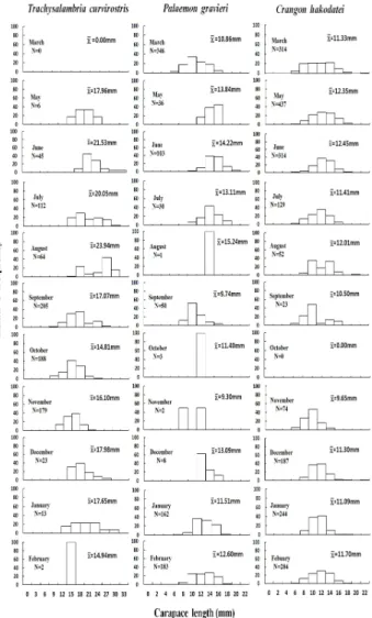 Fig.  6.  Monthly  variations  in  length-frequency  distribution  of  the  dominant  target  species  collected  by  a  beam  trawl  in  the  Chunam  Province  from  March  2008  to  February  2009.
