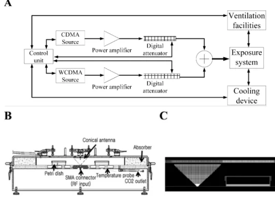 Fig. 1.   The  Radial Transmission Line  type RF radiation exposure system for in vitro study