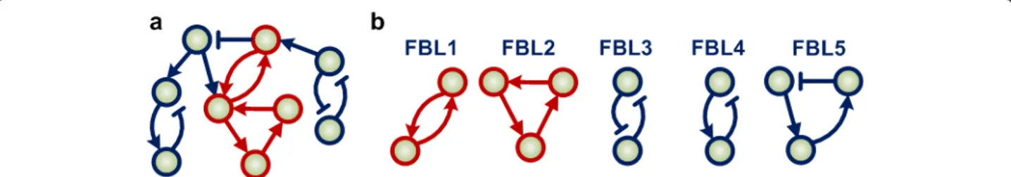 Figure 5 Illustration of feedback loops and APFLs. (a) An example network composed of five different feedback loops
