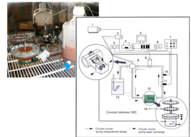 Fig.  2.  Schematic  diagram  of  automatic  intermittent  flow  respiro-  meter  (AIFR)  for  measuring  oxygen  consumption  of  Korean  rockfish  Sebastes  schlegelii