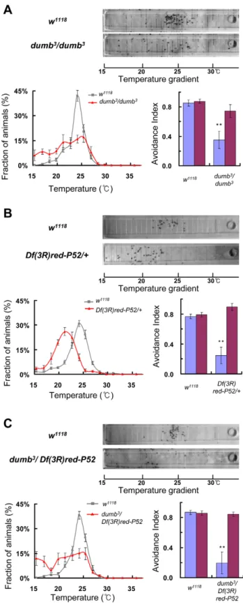 Figure 6. Dopamine receptor is required for TPB. The photo- photo-graphs of TPB shown in each panel are representatives from repeated experiments