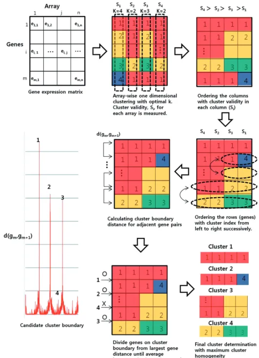 Figure 1. Schematic diagram of individual dimension-based clustering. Genes in individual dimensions or arrays are clustered independently with optimal number of cluster k which maximizes internal cluster validity Si